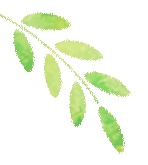 民法典中关于旅游的法律规定 民法典中关于旅游的法律规定